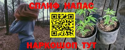 спайс Аргун