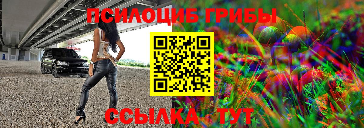Псилоцибиновые грибы Psilocybine cubensis  Галлюциногенные грибы мухоморы  Калининград 