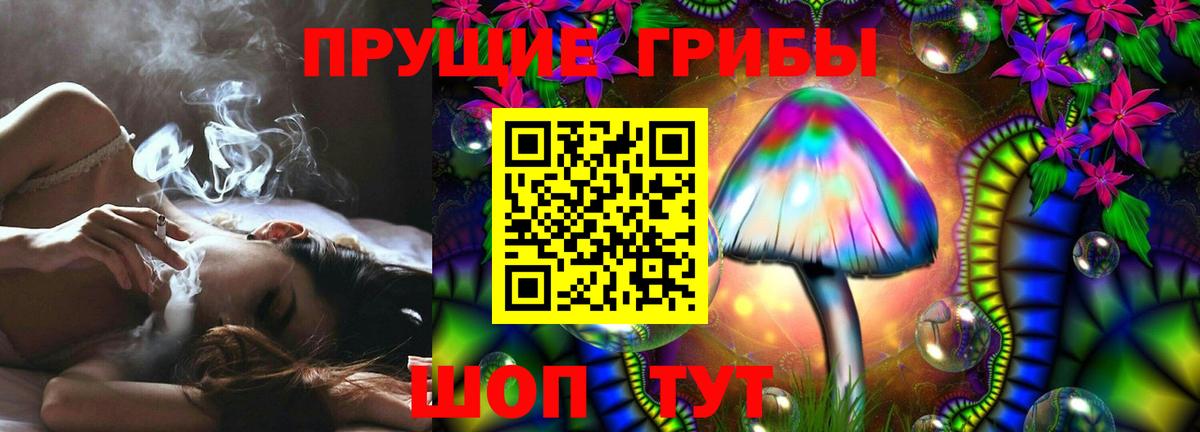 Псилоцибиновые грибы Psilocybe Калининград