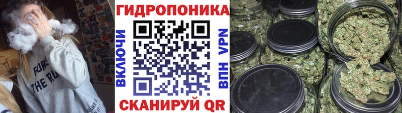 Шишки марихуана SATIVA & INDICA  Калининград 